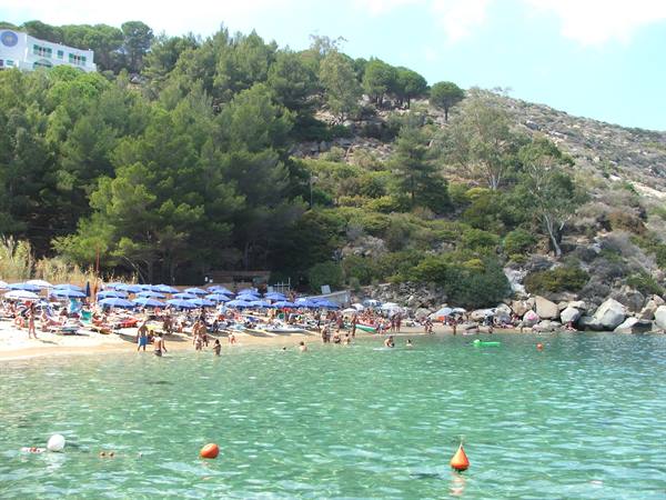 CALDANE
