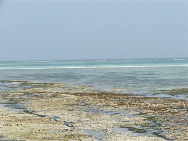 LOW TIDE PHENOMENON