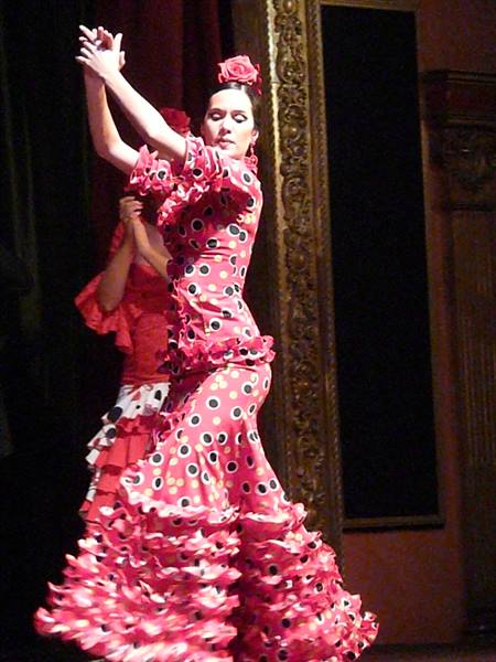 FLAMENCO SHOW