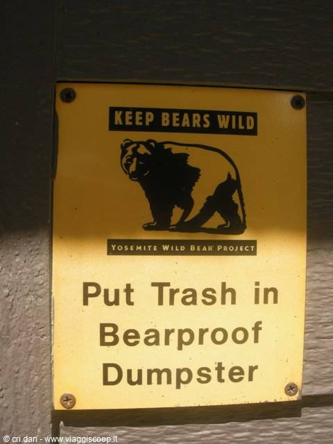 Yellow Yosemite Wild Bear Project sign on a wooden wall