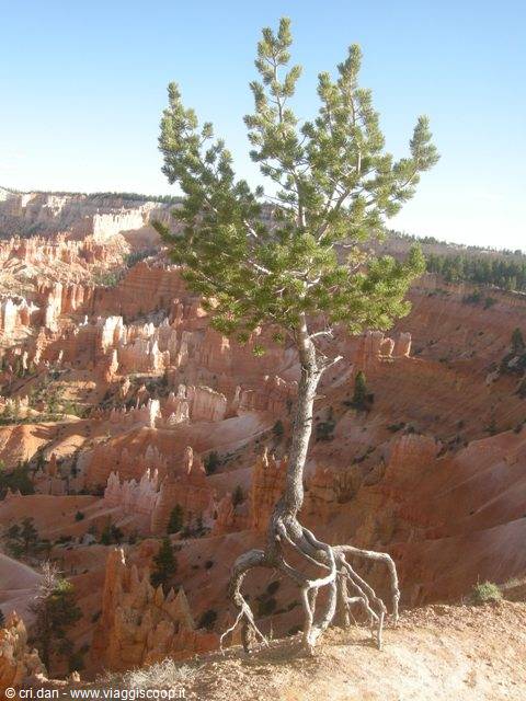 Bryce Canyon