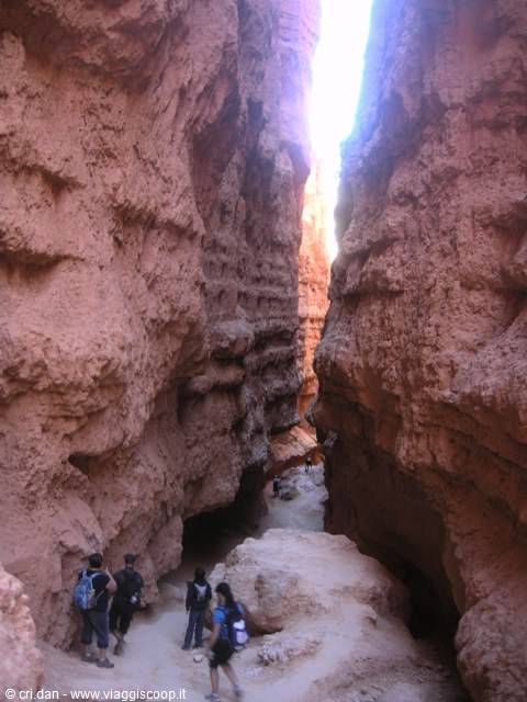 Bryce Canyon