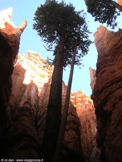 Bryce Canyon