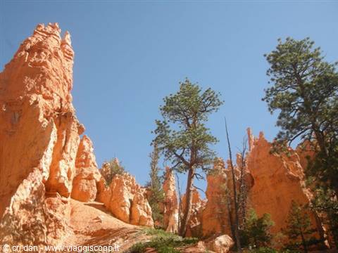 Bryce Canyon