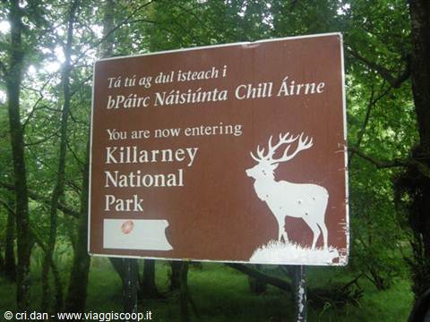 Brown welcome sign of Killarney National Park surrounded by green trees