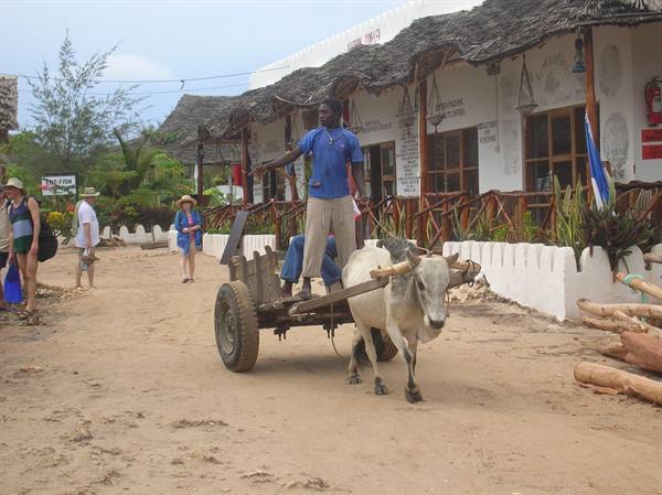 Nungwi village