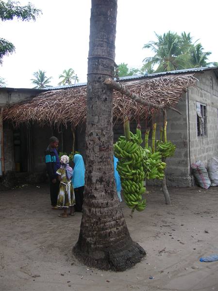 Nungwi village