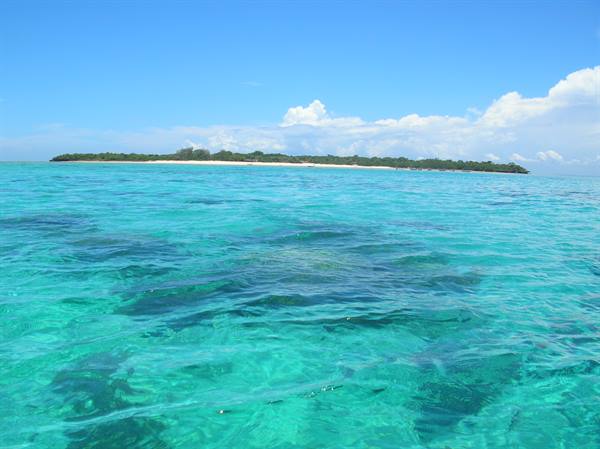 The island....