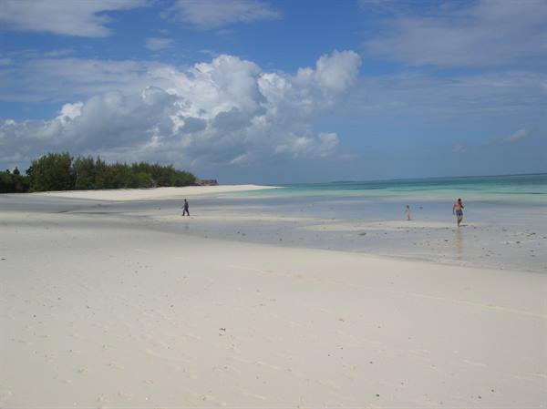 The beach