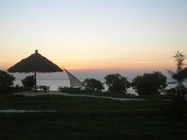 Dhow with triangular sail behind thatched umbrella on grass at dusk
