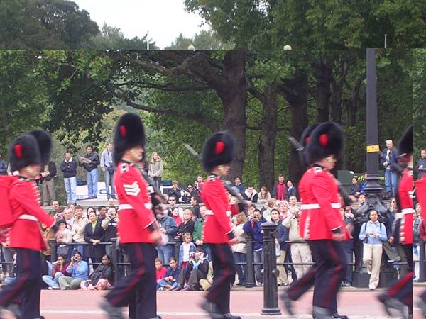 The Queen's guards