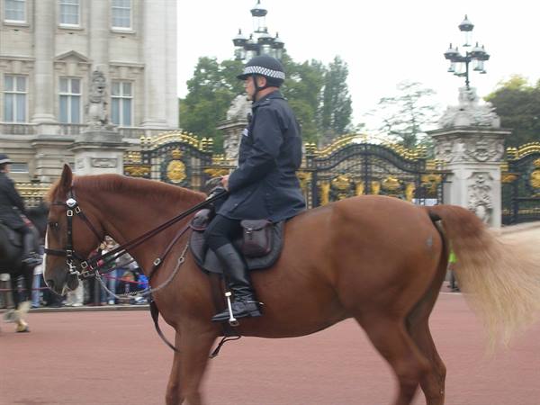 Policeman on horseback