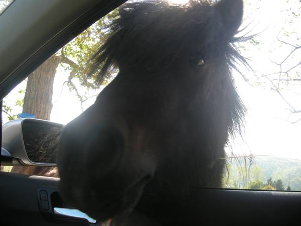 Close encounter....