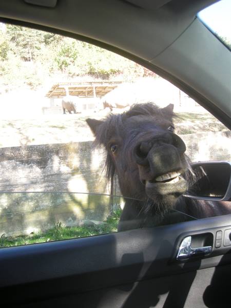Close encounter....