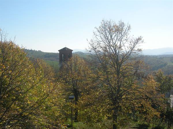 From the Tower...