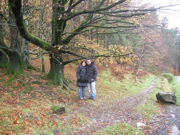 Glendalough 