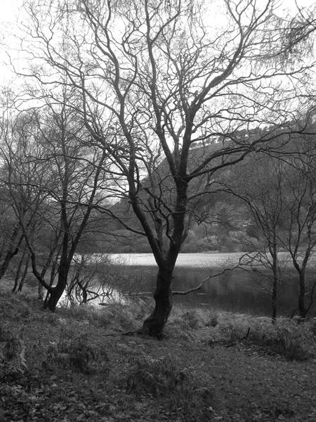 Glendalough 