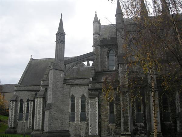  St. Patrick's Cathedral