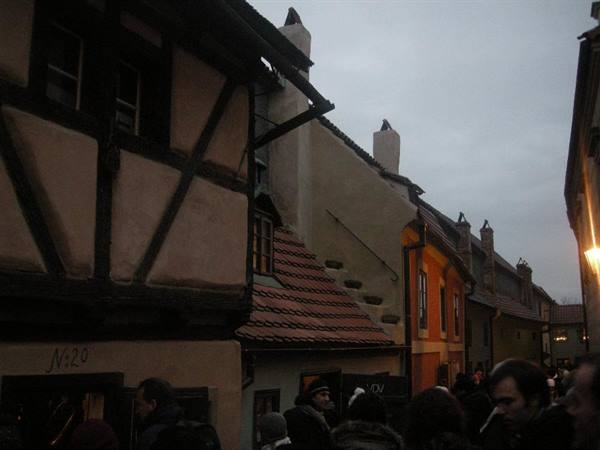 The Golden Lane