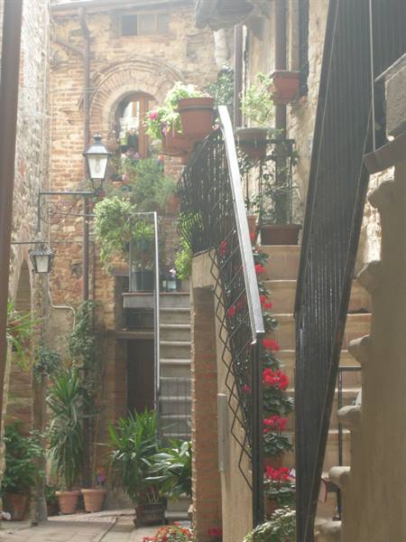 Spina