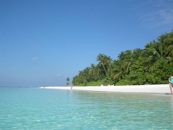 White sand beach with palm trees and turquoise water, few swimmers