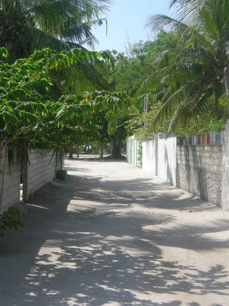 The fishermen's island