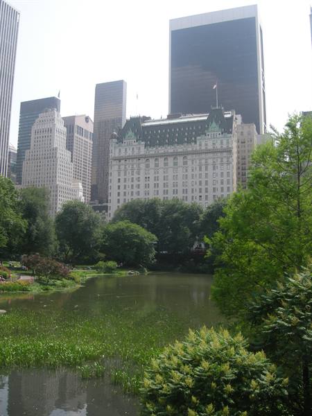 Central Park pond with the Plaza Hotel and Manhattan skyscrapers