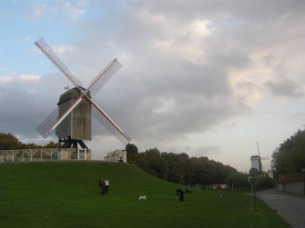 Wooden windmill on grassy rampart, people with a dog, another mill nearby, Bruges
