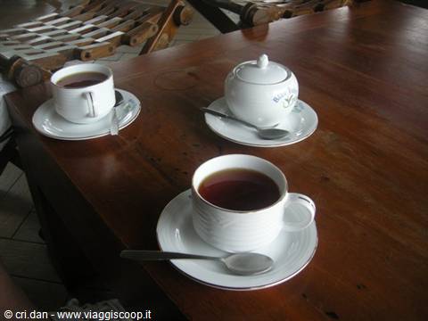 White teacups and sugar bowl on a dark wooden table