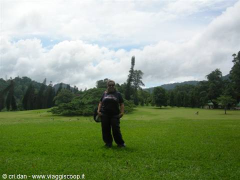 Kandy - royal botanical gardens