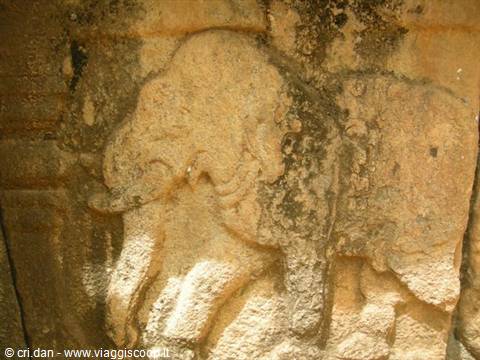 Elephant bas-relief carved in golden stone, natural light