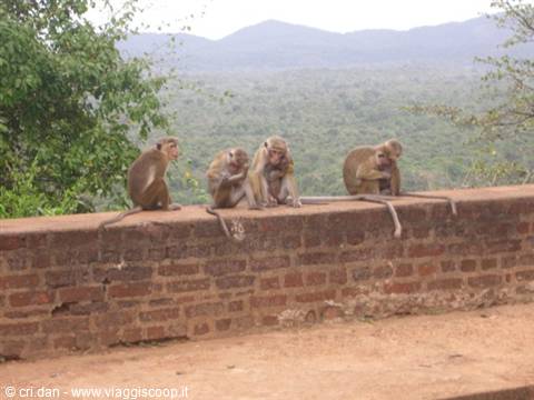 Sigiriya Fortress