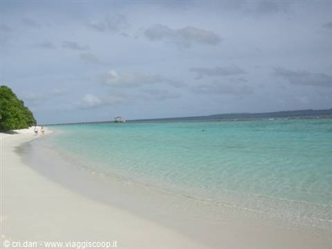 White sand beach with turquoise water and green trees