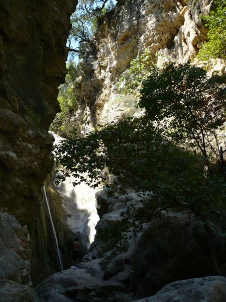 Waterfall between rock walls in a shaded canyon with green trees
