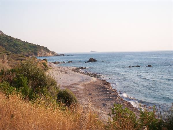 Pebble beach with dry shrubs and rocks, calm sea under hazy sky