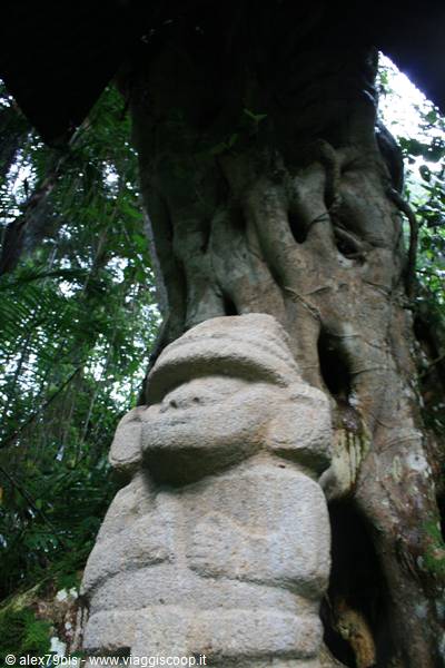 San Agustín stone statue beneath a huge tree in the forest