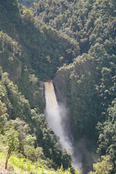 Powerful waterfall rushing over rocks into lush green forest below