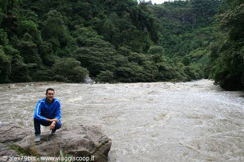 Man crouching on rock beside muddy river surrounded by green forest