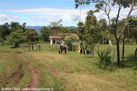 Horse rider in front of rural house with fences and plants