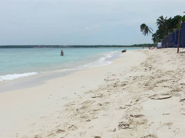 White sand beach, person wading in turquoise water, palms and umbrellas on the right