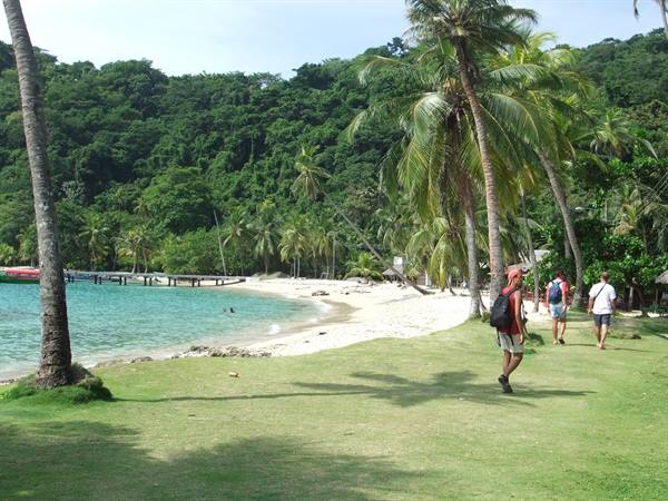 Tourists with backpacks walk on grass toward beach with palms and pier