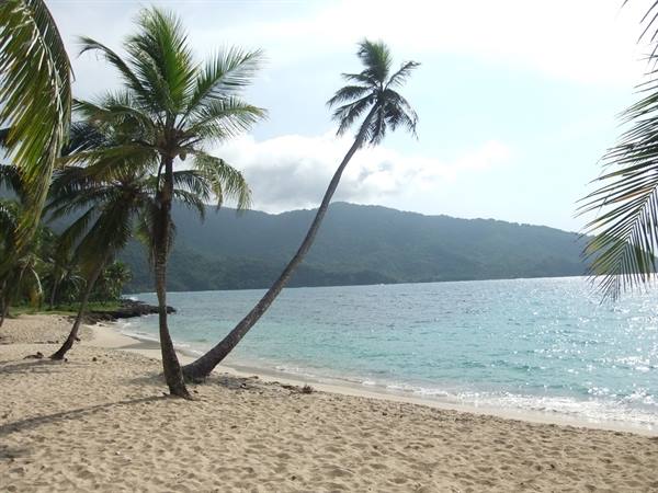 Leaning palms on white sand, turquoise water and green hills behind