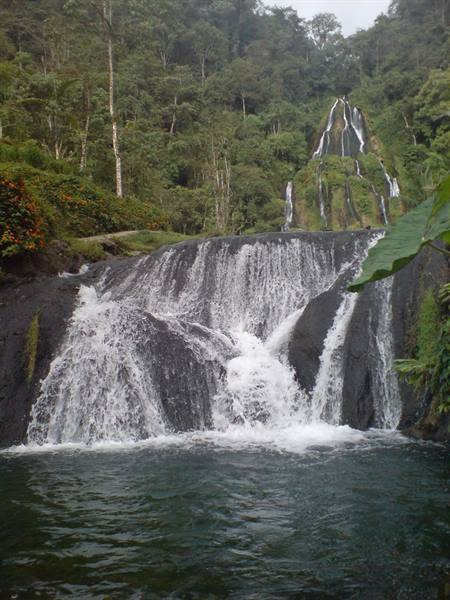 Waterfall over black rock amid lush tropical forest, white water into green pool