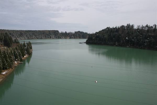 Green lake surrounded by snowy fir trees, cloudy winter sky