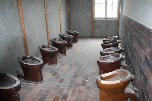 Rows of brown ceramic toilets in an abandoned latrine with brick floor