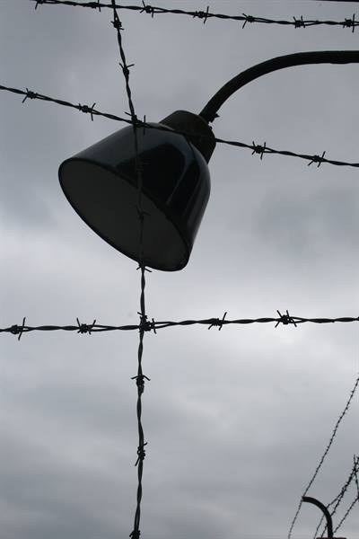 Metal lamp behind barbed wire fence, overcast grey sky