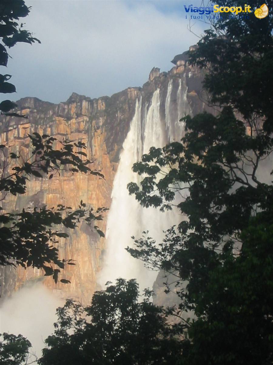salto angel