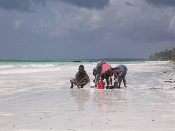 matenwe beach