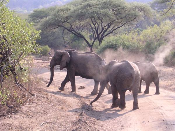 Lake Manyara