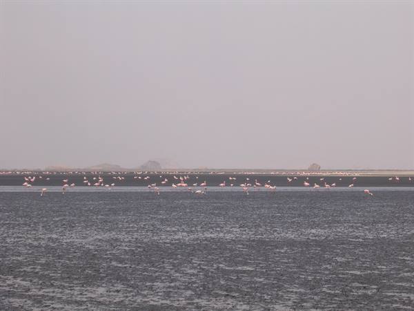 Lake Natron